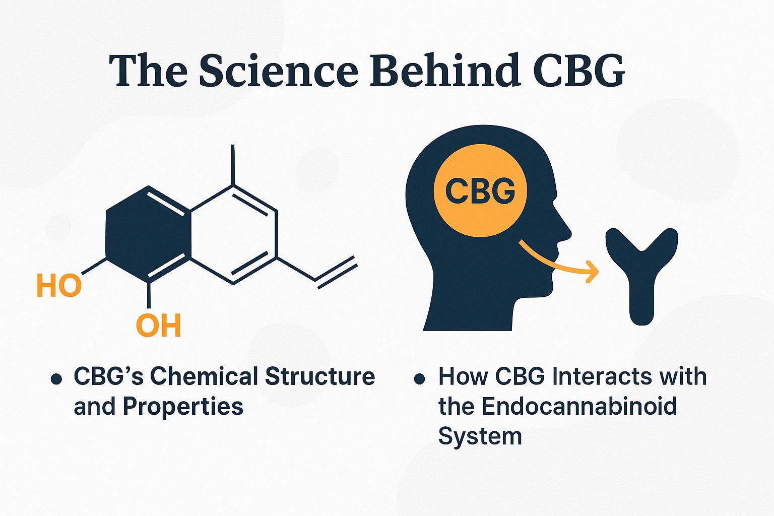 The Science Behind CBG